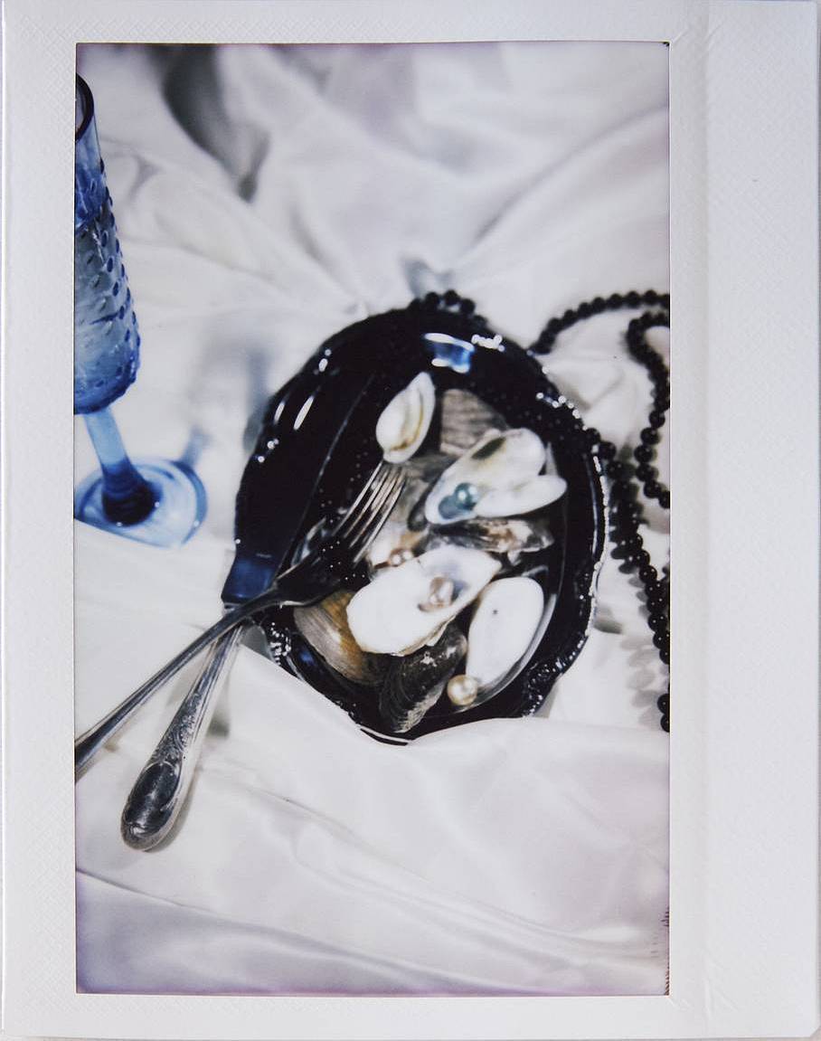 由 Mahnoosh Niakan 使用 LomoGraflok 4×5 拍立得机背拍摄