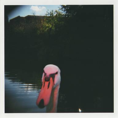 professor_holga