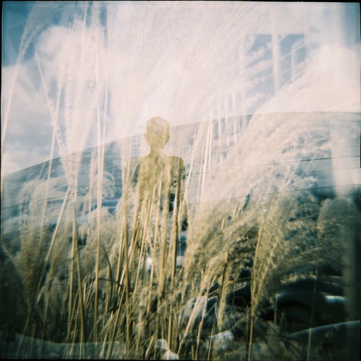 The Charm of Medium Format: Filmlog Manager Dahae Lee Shoots with the Diana F+