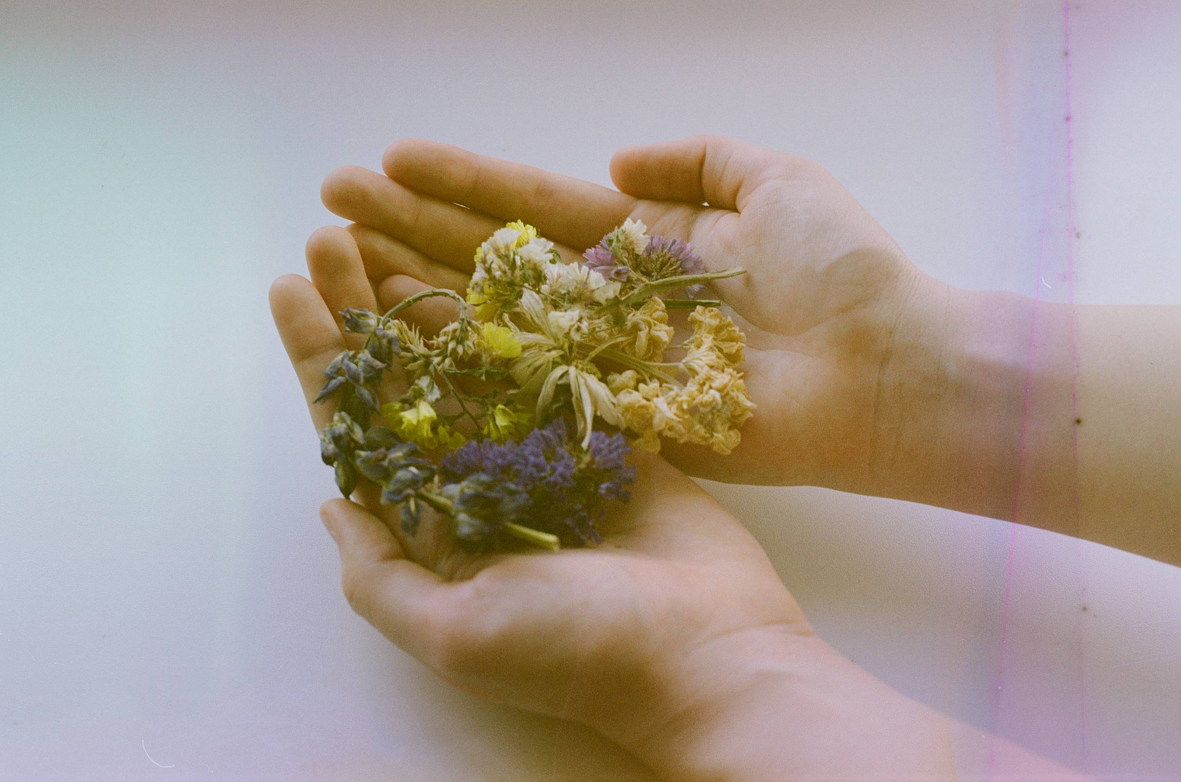 Photo by egoriceman · Lomography
