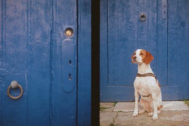 Lens: Olympus F.Zuiko 32mm / f1.7 · Lomography