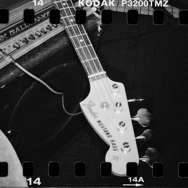 mustangbass