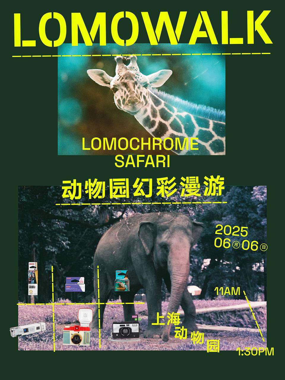 LomoWalk：动物园幻彩漫游