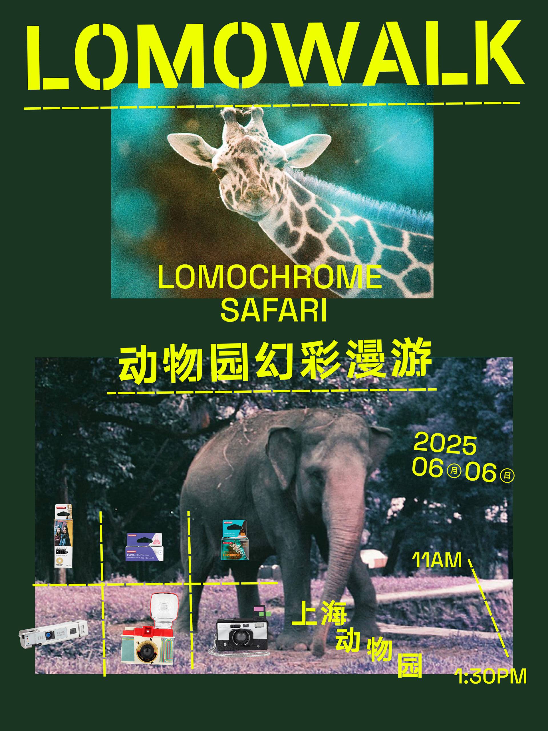 LomoWalk：动物园幻彩漫游