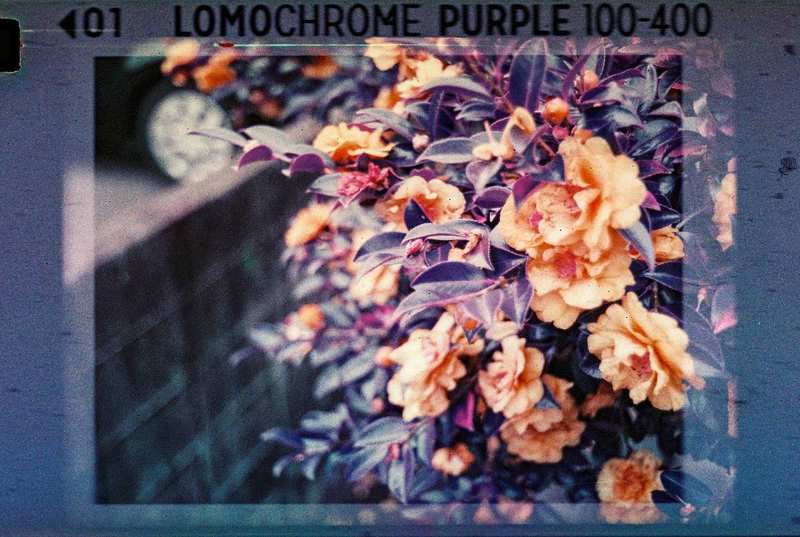 Credits: txr53、ginnyfree、arthouse、victoriavictosha、somapic、crismiranda、bnjmn、kacherry、painkiller1990、eyeye