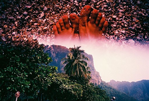 JUCH x Lomography