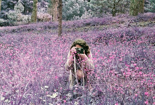 In Depth: Infrared, a Film That Hit the Hot Spot