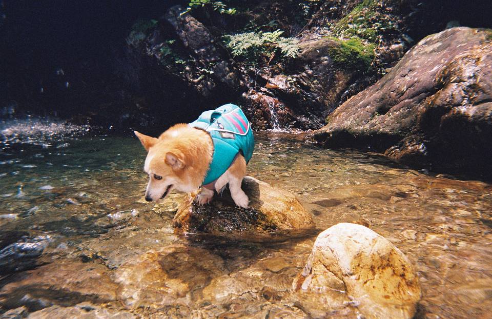 Lomography & MountainCat：用胶片记录下我们的夏日溯溪！