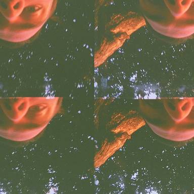bvshark