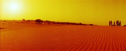Vicuna's Travel Stories | Sunrise in the Desert