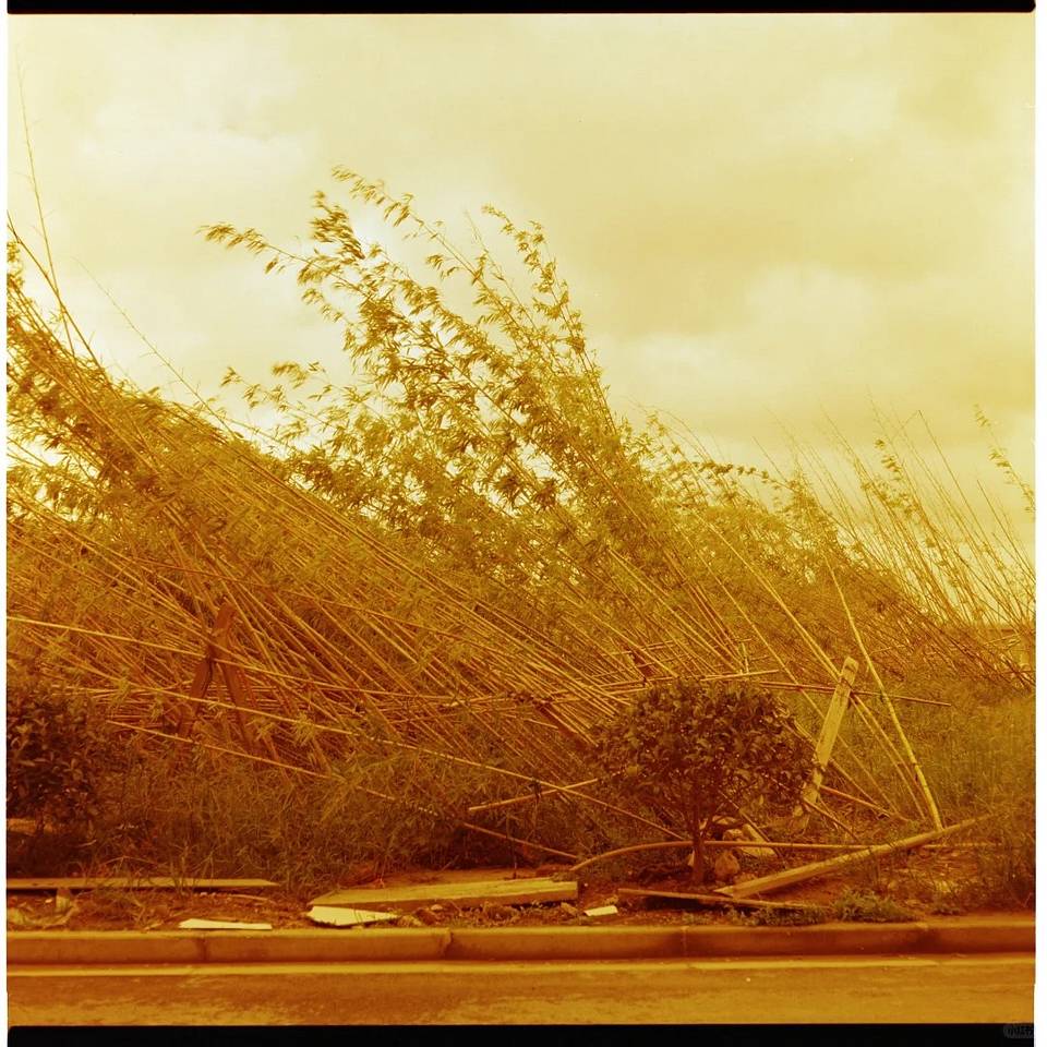 由王可艾使用 Lomography Redscale 红调负片胶卷拍摄
