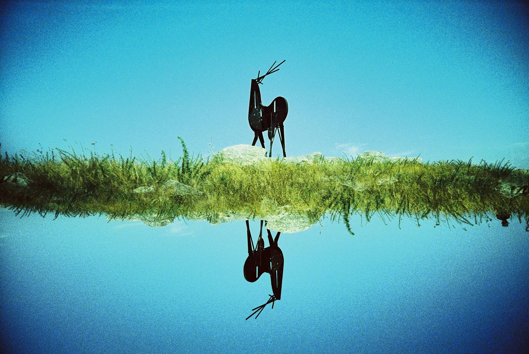 Symmetrical Split Photos with the Lomo LC-A+ and Splitzer · Lomography