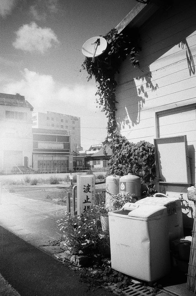 Photos by Misa Imai | Lomo MC-A 135 全自动随拍胶片相机 | Lomography B&amp;W Lady Grey ISO 100 135 黑白胶卷