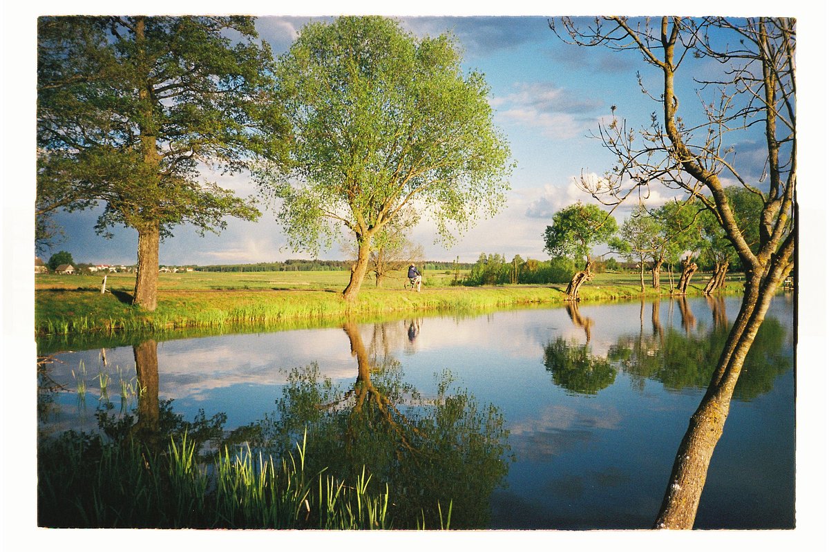 Camera: Konica Big Mini A4 · Lomography