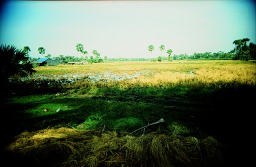 Angkaul: Cambodia's Secret Beach (at least for now)