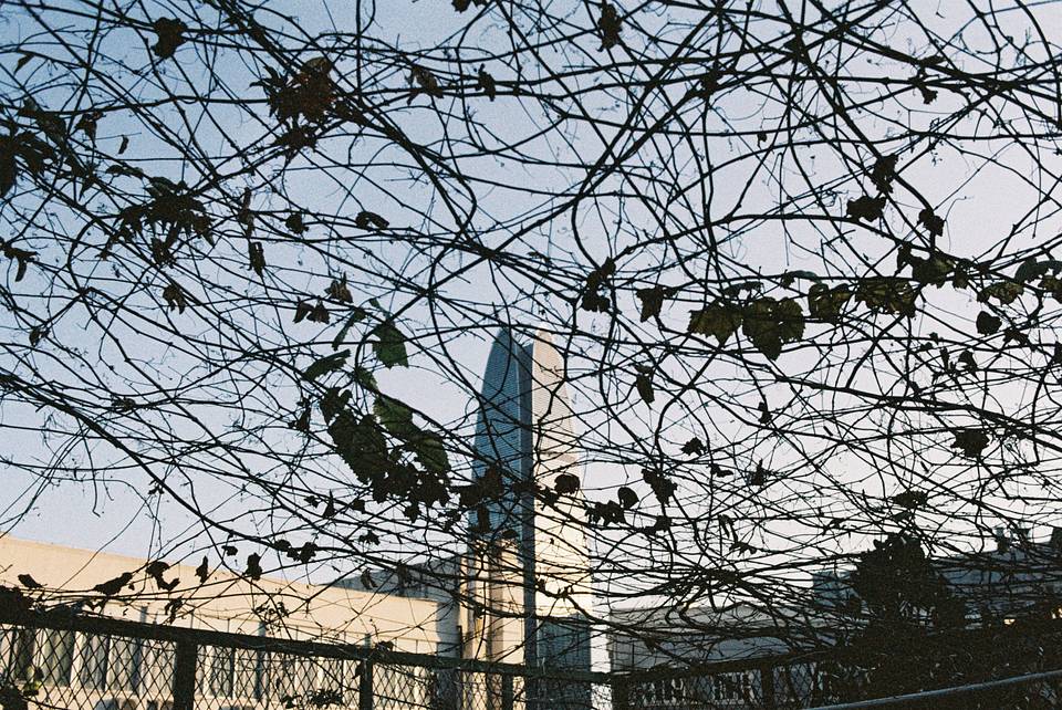 © YE | Shot on LomoChrome Color '92 ISO 400 135 日落版