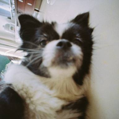 mr_bandit