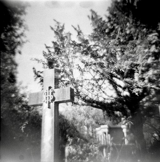 A Recap of the Diana F+ Workshop at Highgate Cemetery with Natalie Smart