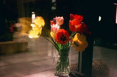 Film: Silberra Color 100 C-41 LIMITED EDITION 100/135-36 · Lomography
