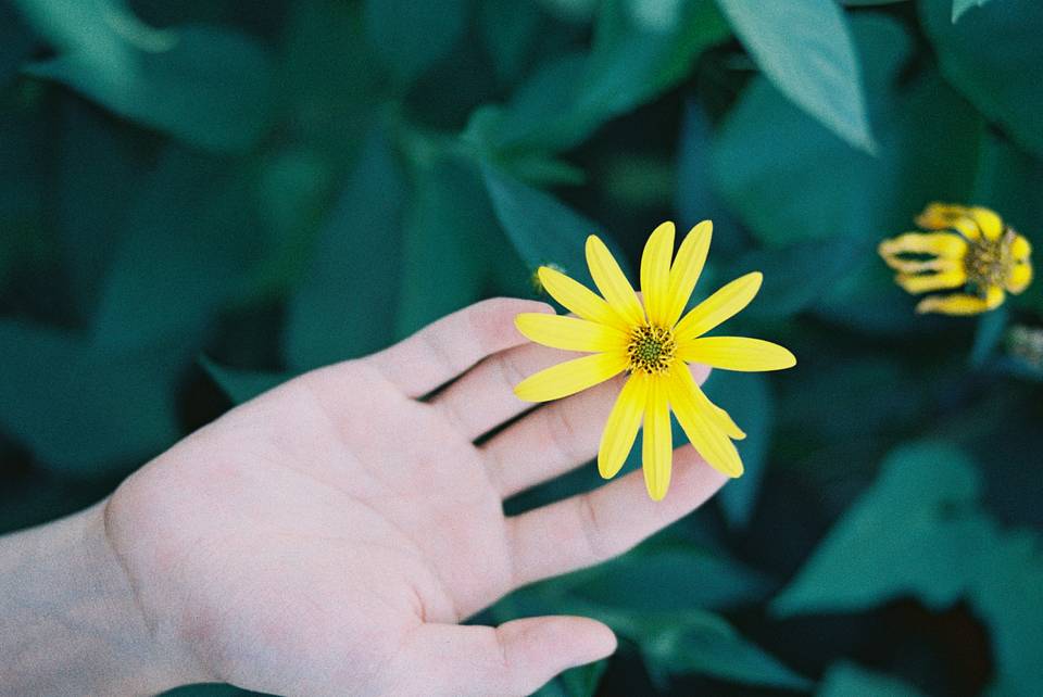 ©富貴 Faust ｜模特：符枭｜ LomoChrome Classicolor ISO 200 135 经典版彩色负片