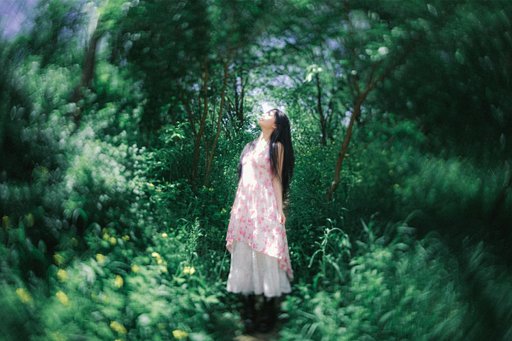 Whispers of the Summer Forest: Videographer Jihu Kim’s Dreamlike Imagery with the Joseph Petzval 27 mm f/1.7