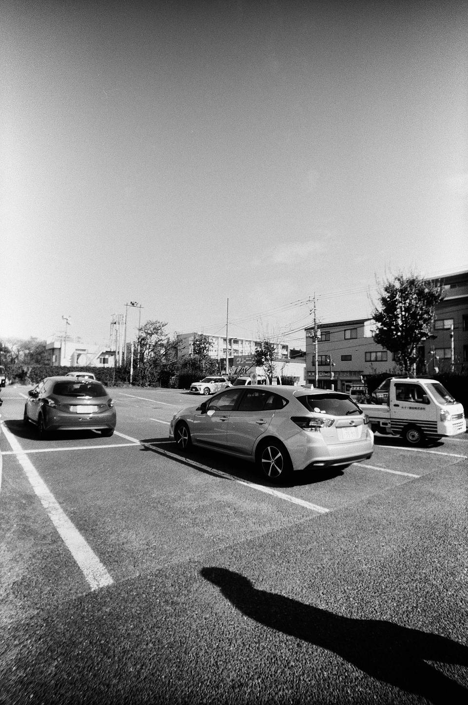 Photos by Lomography Japan