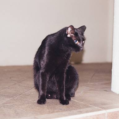 lllllllllll