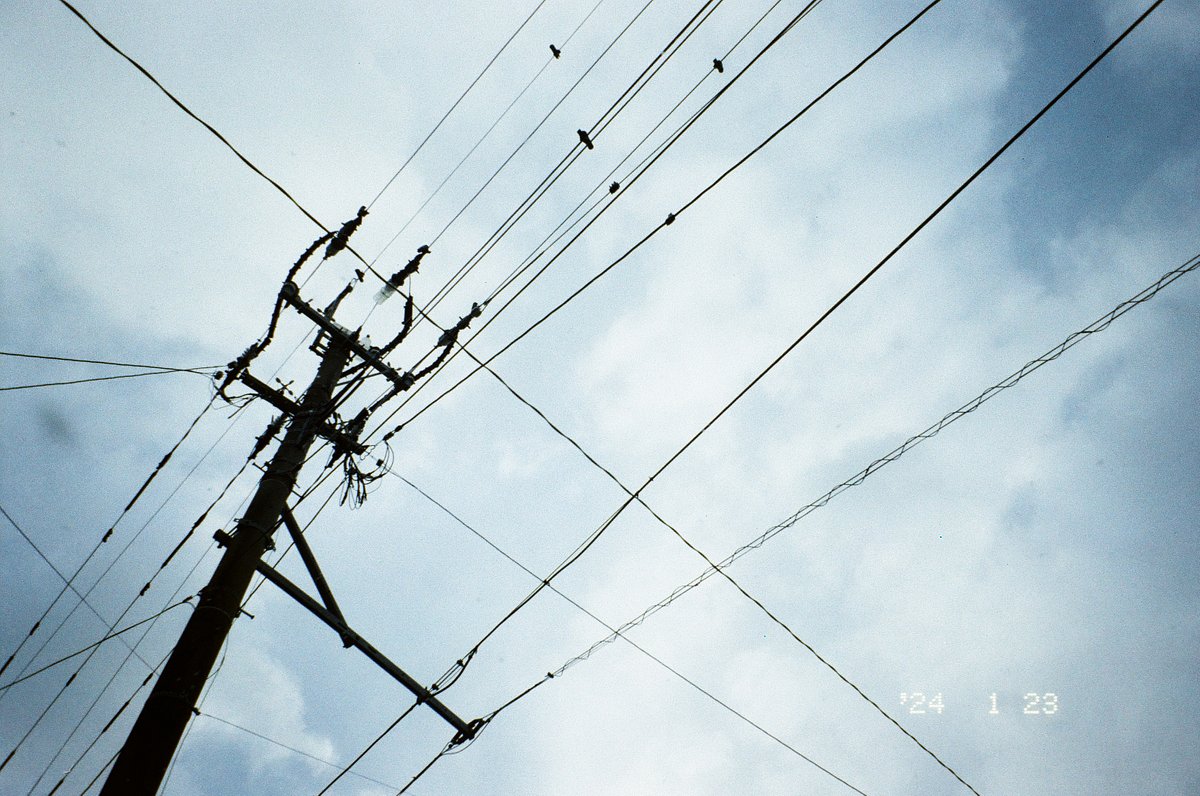 Camera: Konica Lexio 70 · Lomography