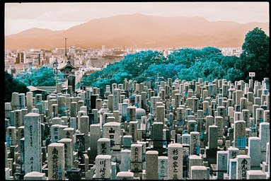 Lens: Nikon AF Nikkor 80-200mm F/2.8 D ED · Lomography