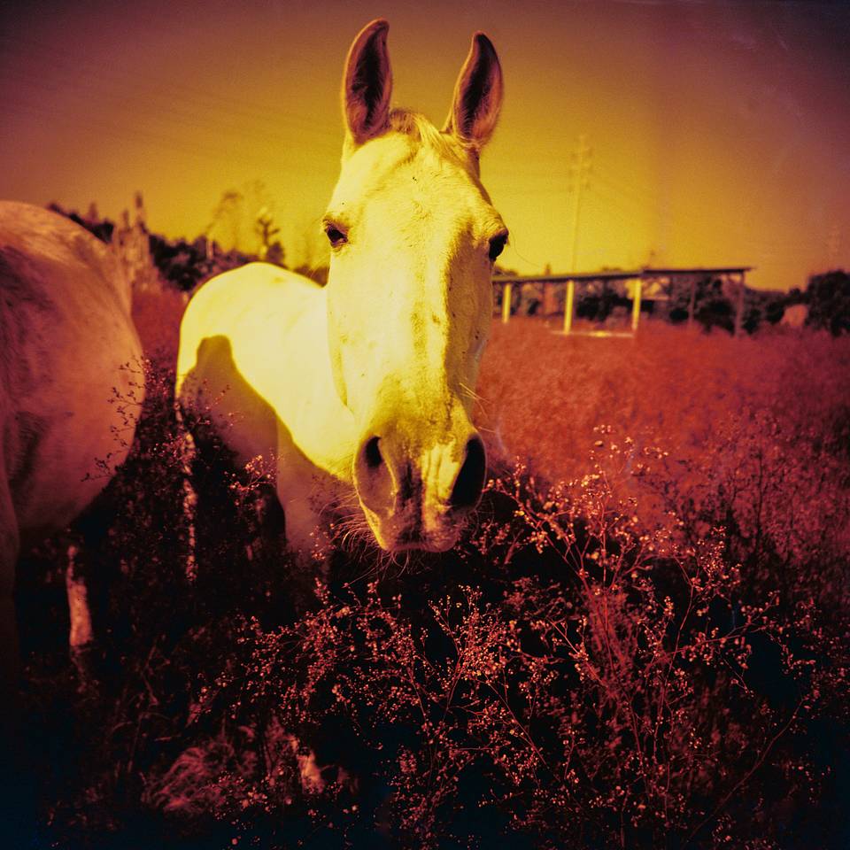 © Hemera | Lomo LC-A 120 胶片相机