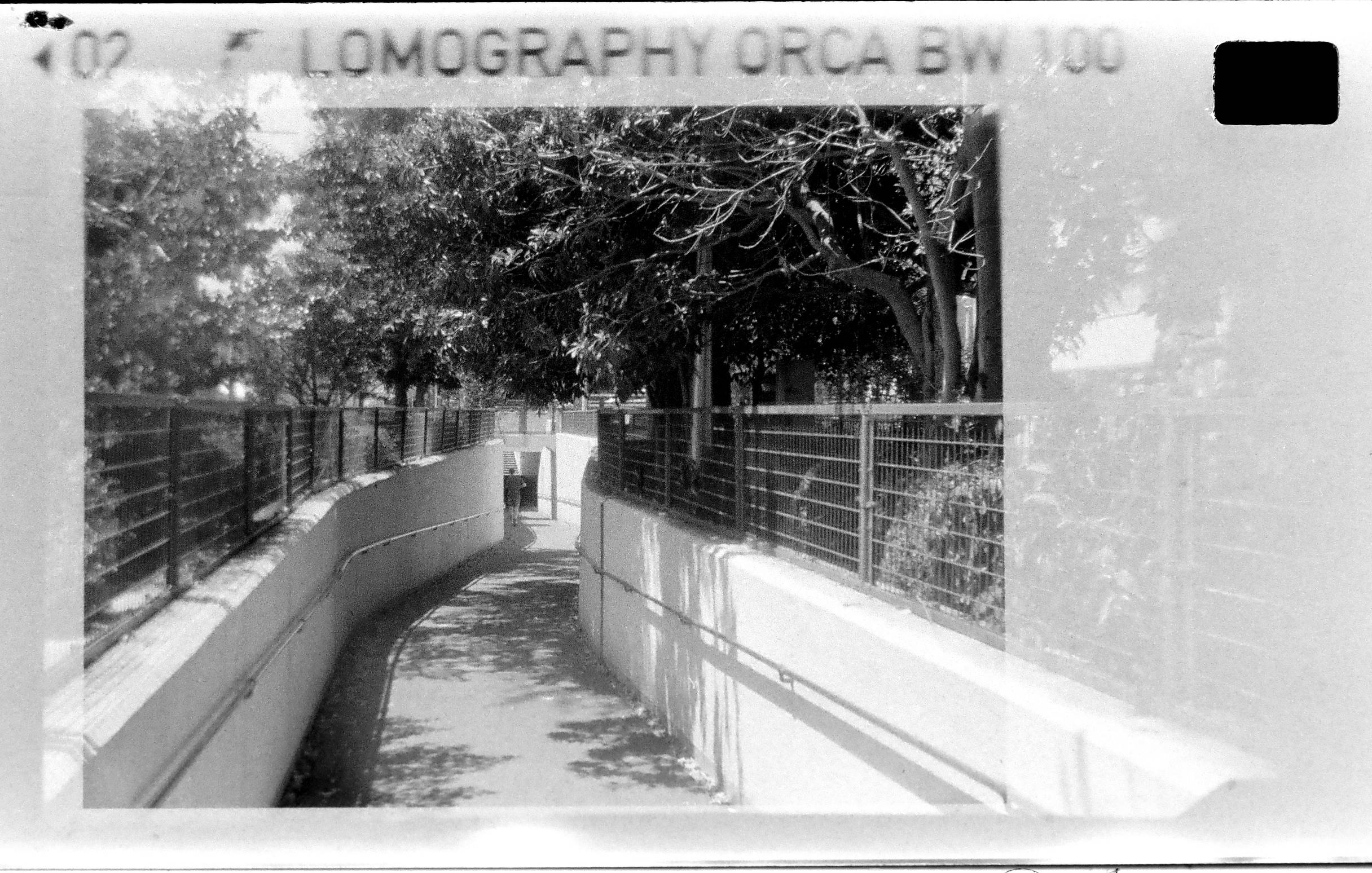 110モノクロフィルム現像完了／LOMOGRAPHY ORCA BW 110 - ～歳月人を