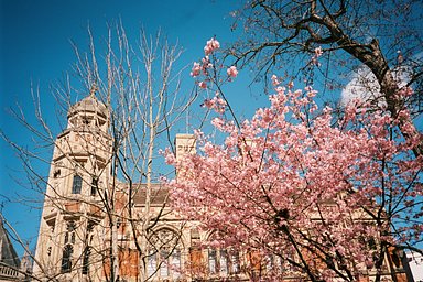 Camera: Fujifilm Tiara II · Lomography