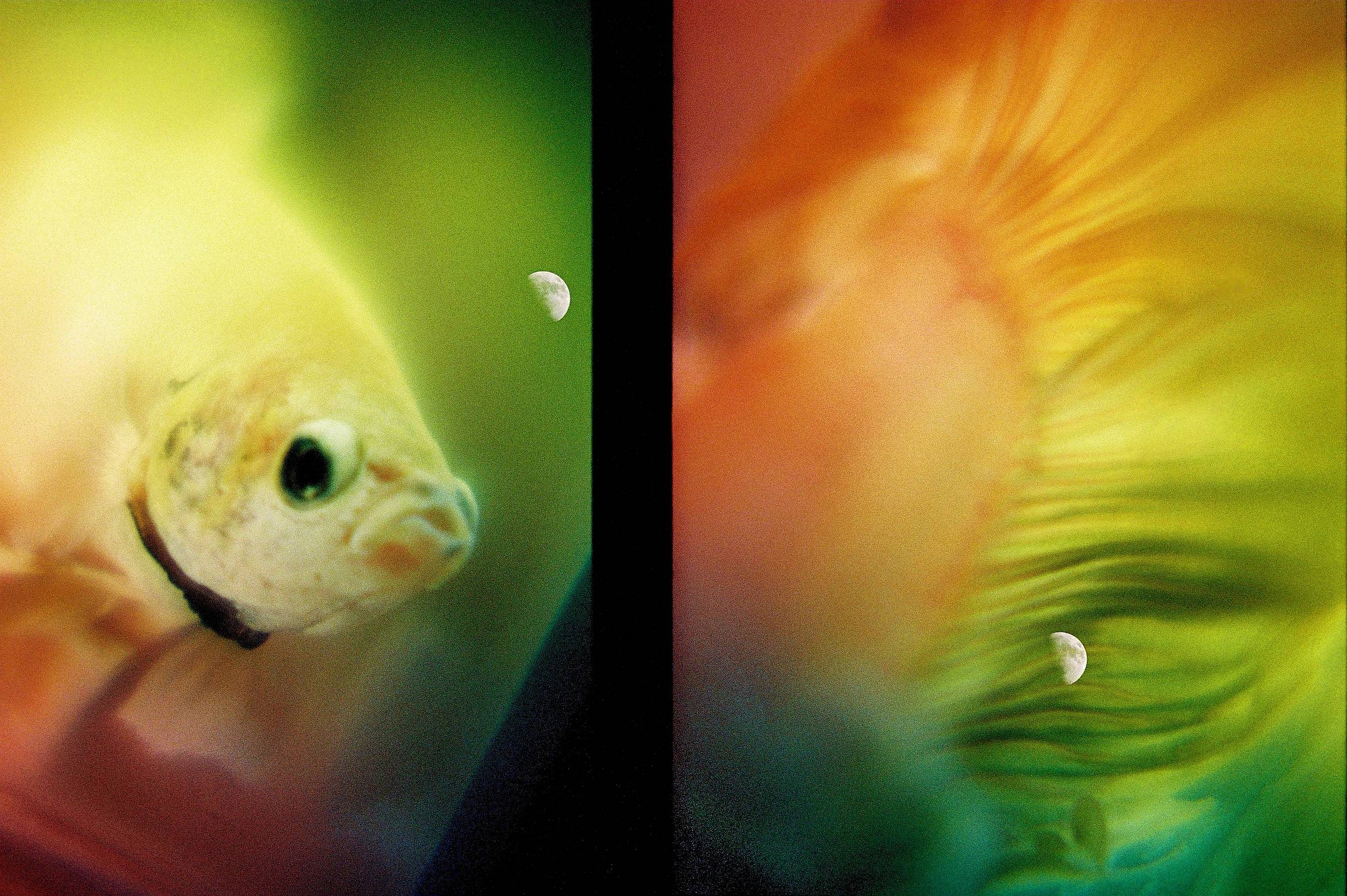 JuskoLiy on Lomography