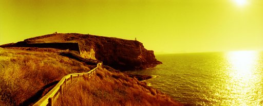The Beauty of Otago Peninsula, New Zealand