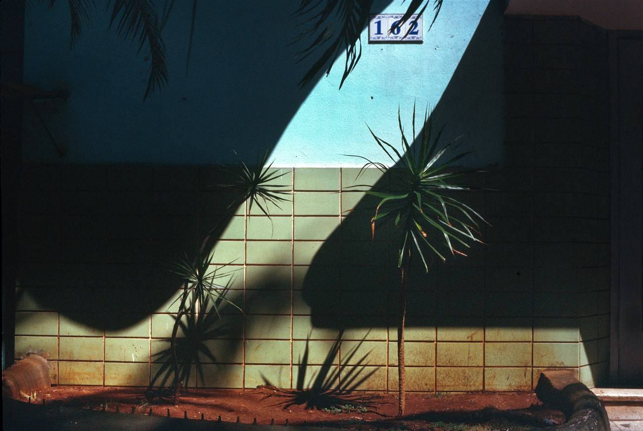 Along For the Ride — an Interview with Ian Howorth · Lomography
