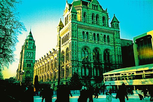 Kodak Elitechrome EBX (35mm, 100 iso) User-Review