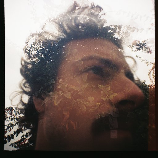 LomoAmigo Strangeloop and His Diana F+