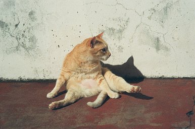 Camera: Leica C2 · Lomography