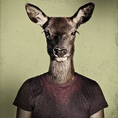 hedley_rolph