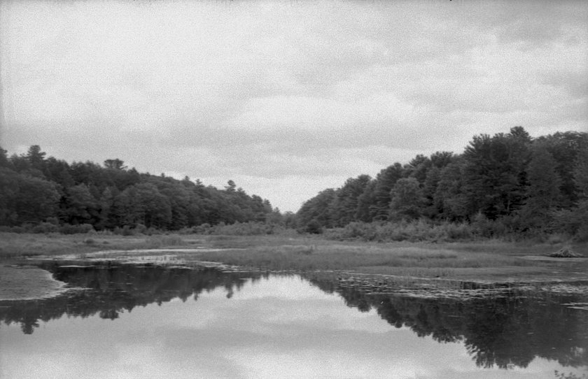 Camera: Walz Wide · Lomography