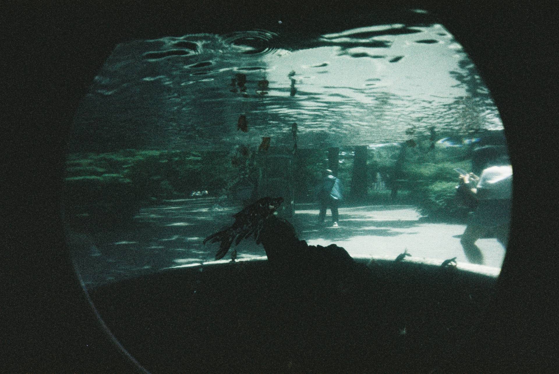 Fisheye No.2 135 第二代鱼眼胶片相机 + LomoChrome Color '92 ISO 400 135 彩色负片