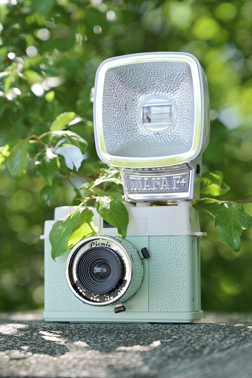 Diana Mini Picnic & Flash Half-frame & Square Camera