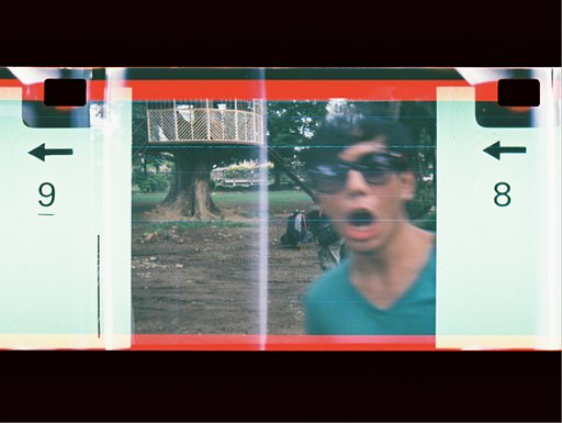 Micro Holga: That Little Cute Camera!