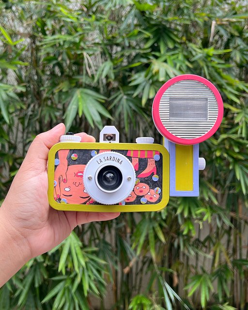 Camera: La Sardina Camera & Flash DIY · Lomography