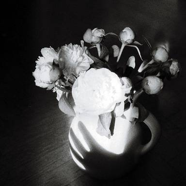 hermine