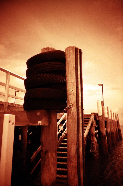 Tips on Using Redscale Films: Vary That ISO