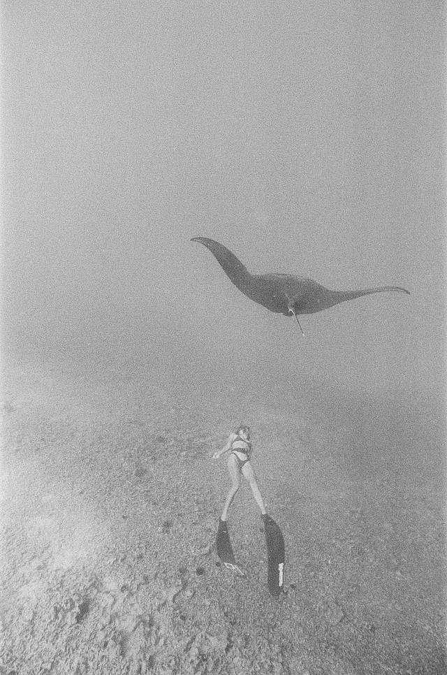 Katharine Kollman 使用 Lomography B&amp;W ISO 400 Berlin Kino 135 柏林电影黑白胶卷 拍摄的照片