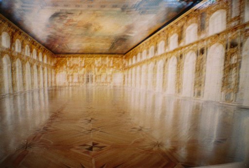 Through the Eyes of Wolf Colony: Using the La Sardina