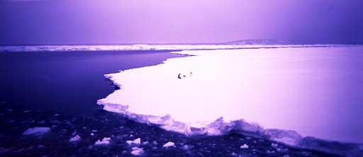 Holga 120 Pan: The Lightweight Panoramic Miracle