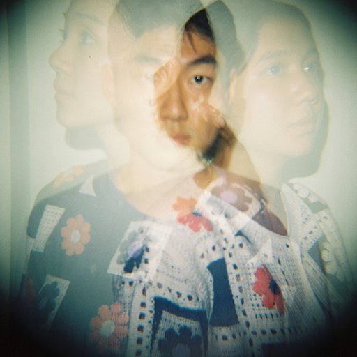 Becky's First Encounter With the Classic Analogue Queen, the Diana F+